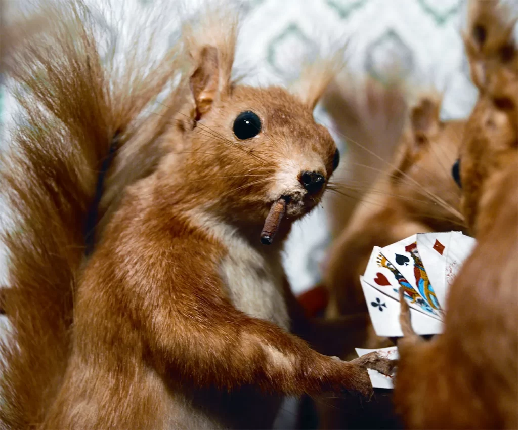 Taxidermy in art: Walter Potter, The Upper Ten, Morbid Anatomy Museum, Gowanus, Brooklyn, NY, USA. Vanity Fair.
