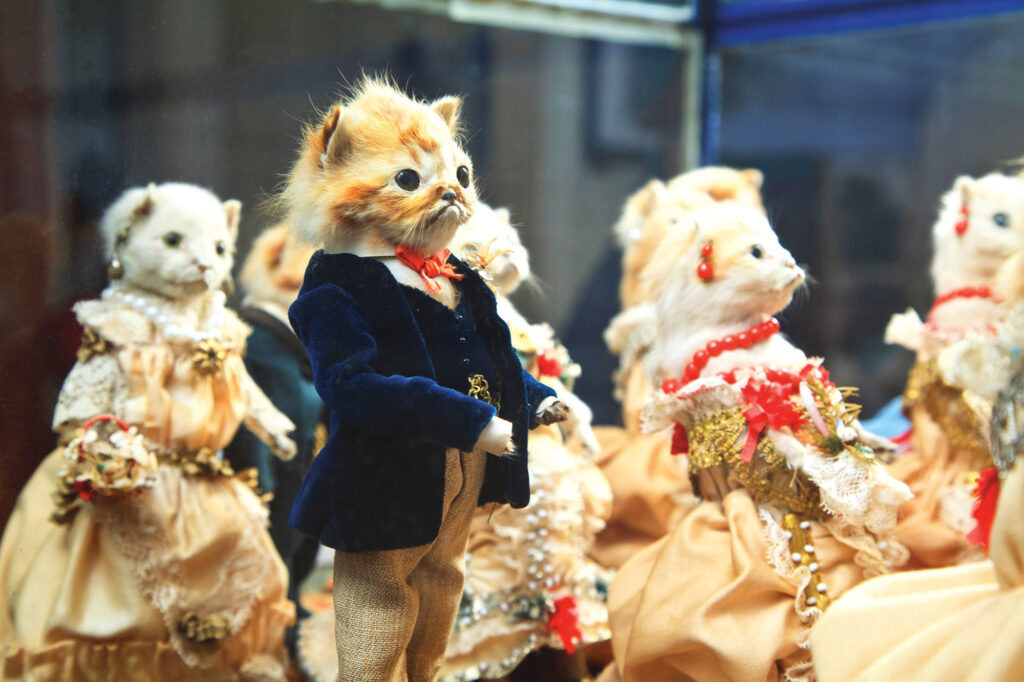 Taxidermy in art: Walter Potter, The Kitten’s Wedding, Morbid Anatomy Museum, Gowanus, Brooklyn, NY, USA. The NY Times.
