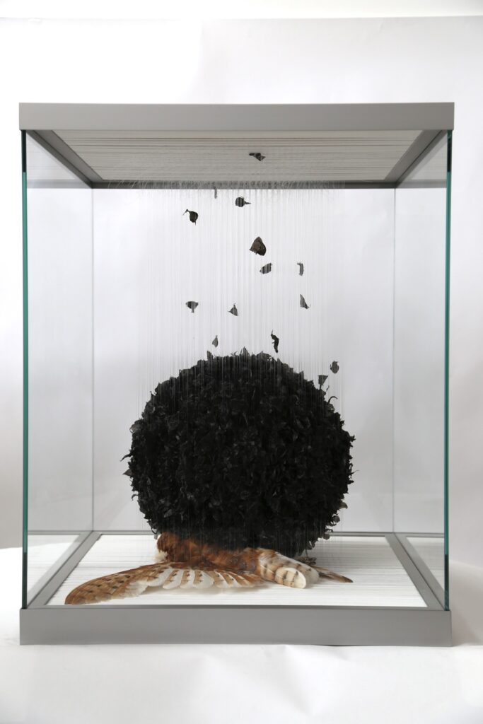 Taxidermy in art: Claire Morgan, Over My Dead Body, 2014. Artist’s website.
