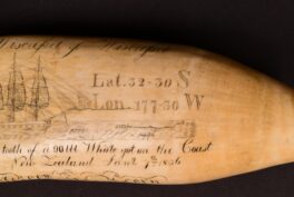 Scrimshaw, William H. Acorn, Wiscasset of Wiscasset tooth, 1836. Sperm whale tooth, NBWM, USA