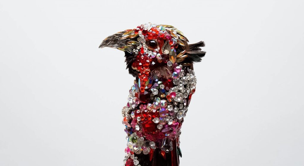 Taxidermy in art: Angela Singer, Nepenthe, 2011-2015. Artist’s webiste. Detail.
