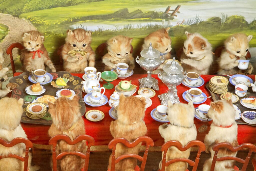 Taxidermy in art: Walter Potter, The Kitten’s Tea Party, Morbid Anatomy Museum, Gowanus, Brooklyn, NY, USA. Dailymail.
