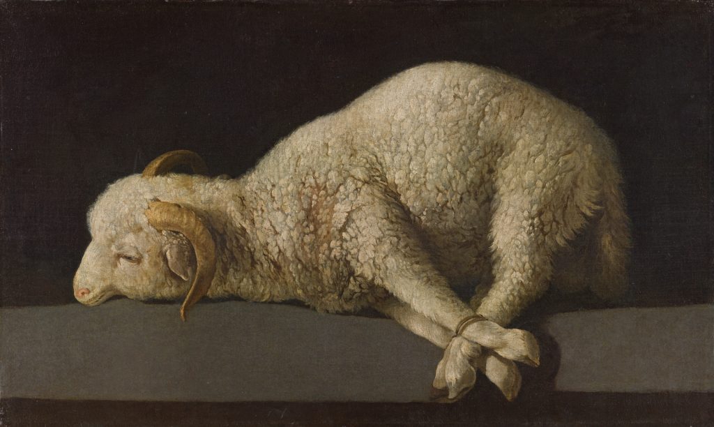 Francisco de Zurbarán still lifes: Francisco de Zurbarán, Agnus Dei, 1635-1640, Museo del Prado, Madrid, Spain.
