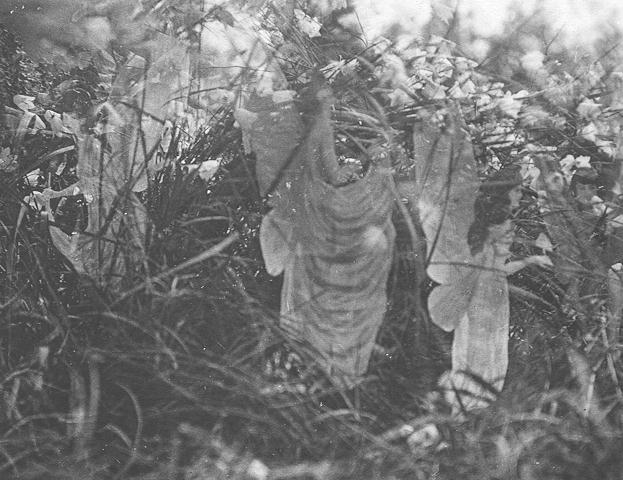 Elsie Wright & Frances Griffiths, Fairies and Their Sun-Bath, 1917, Cottingley