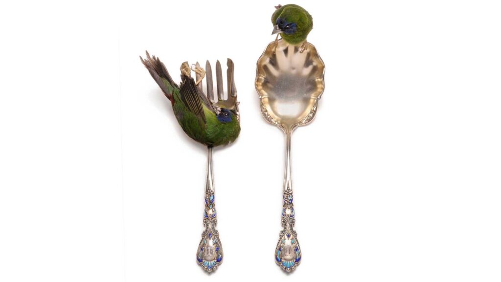 Taxidermy in art: Julia DeVille, Cutlery. Artist’s website.
