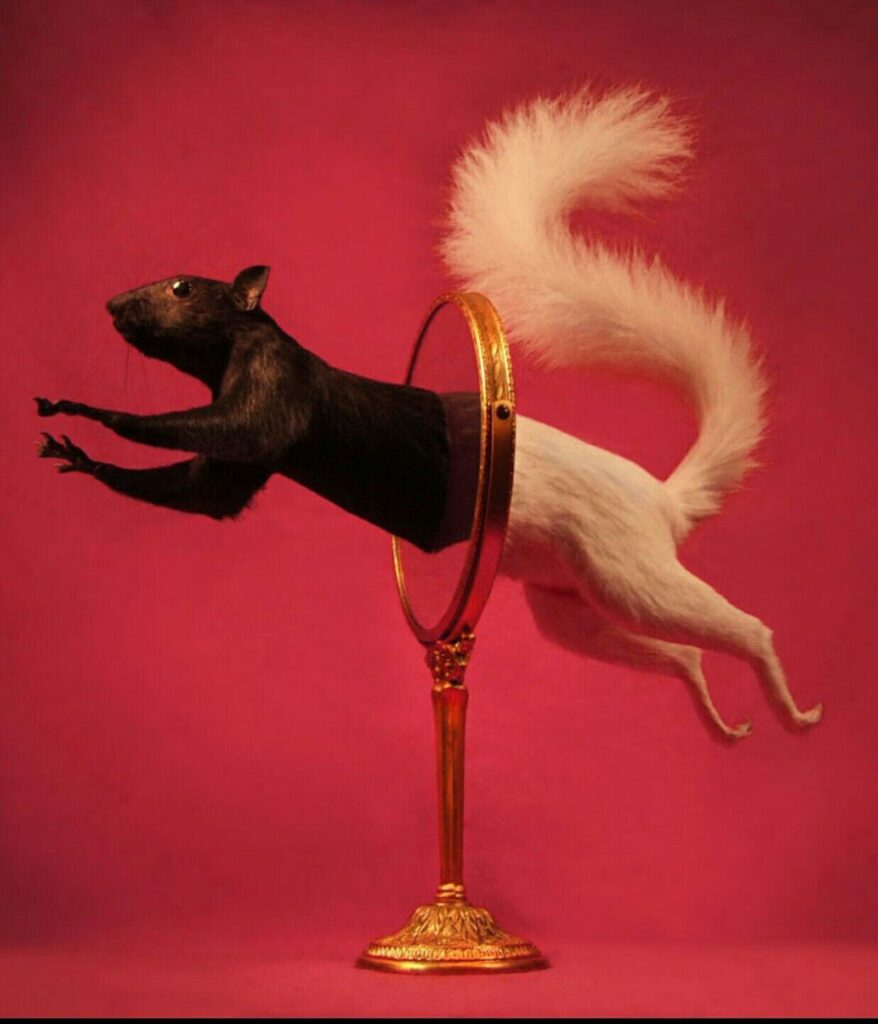 Taxidermy in art: Sarina Brewer, Chasing Demons, 2016. Artist’s website. 
