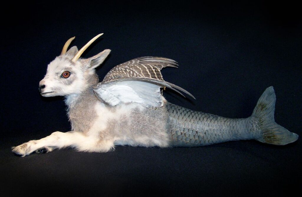 Taxidermy in art: Sarina Brewer, Capricorn, 2004. Artist’s webiste.
