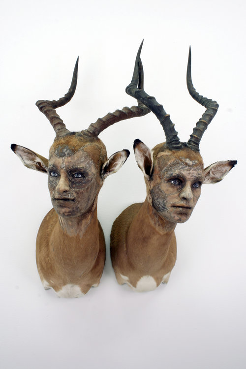 Taxidermy in art: Kate Clark, For Keeps, 2009. Artist’s website.
