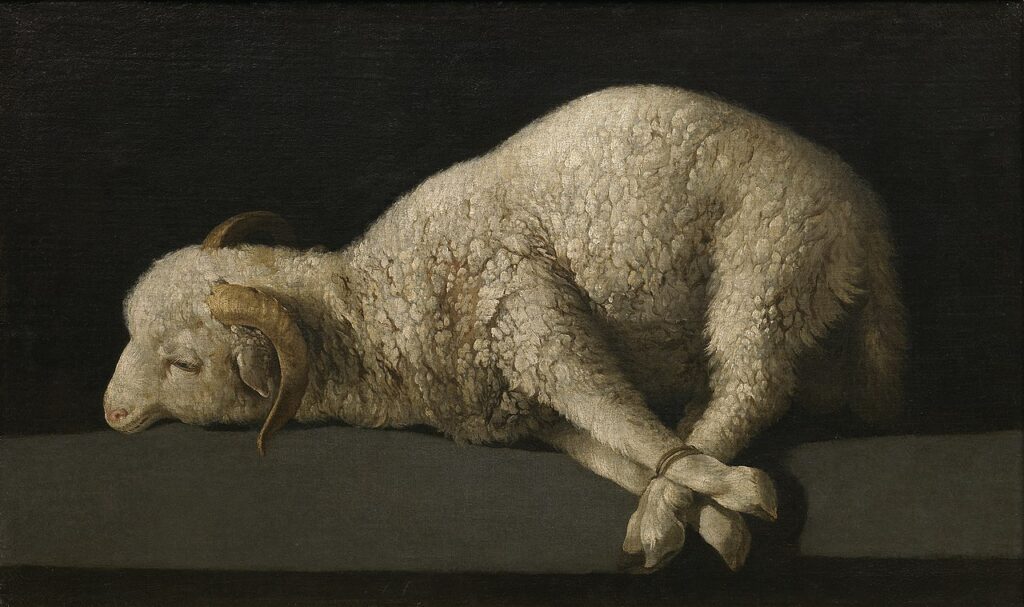 Francisco de Zurbarán: Francisco de Zurbarán, Agnus Dei, 1635-1640, Museo del Prado, Madrid, Spain. Wikimedia Commons (public domain).
