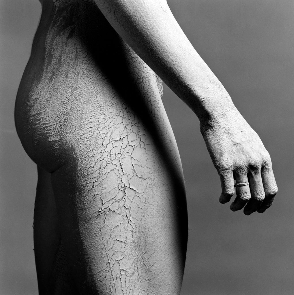 Robert Mapplethorpe: Robert Mapplethorpe, Lisa Lyon, 1982, The Robert Mapplethorpe Foundation, New York, NY, USA.
