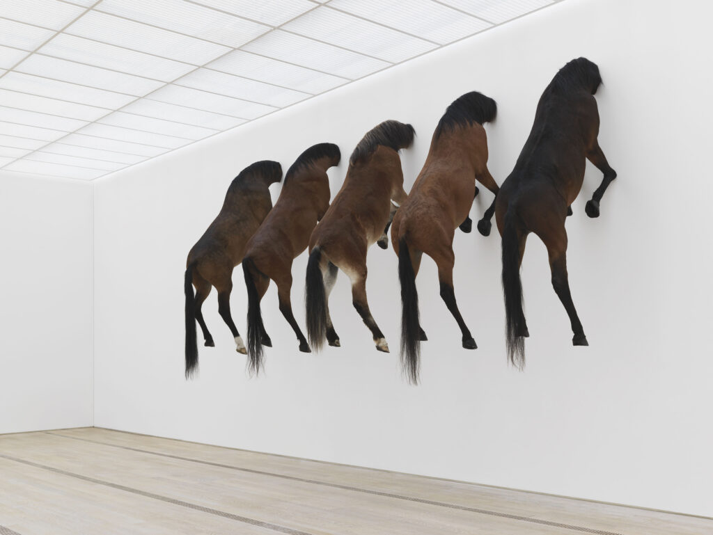 Taxidermy in art: Maurizio Cattelan, KAPUTT, 2013, Foundation Beyeler Riehen, Basel, Switzerland. Artsy.
