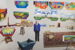 david hockney bozar, studio