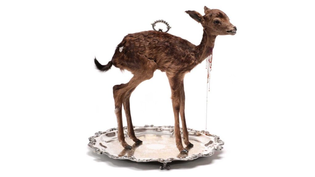 Taxidermy in art: Julia DeVille, Sentience, 2012. Artist’s website.
